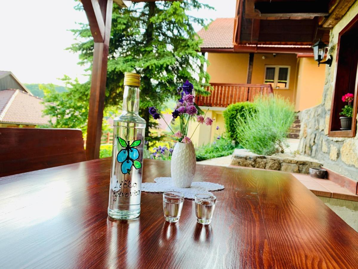 Apartman Korina Otocac Bagian luar foto