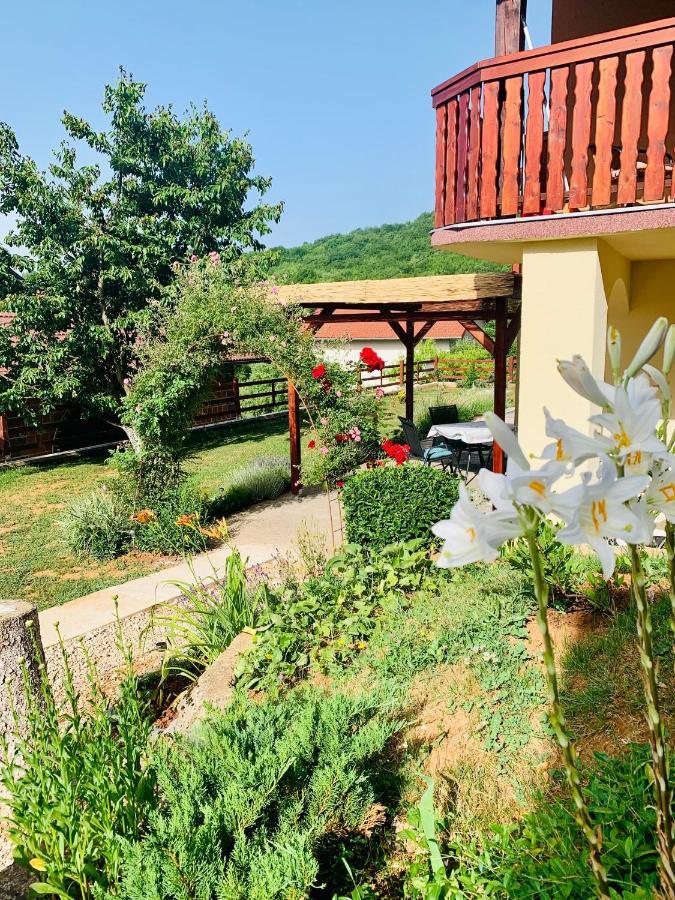 Apartman Korina Otocac Bagian luar foto